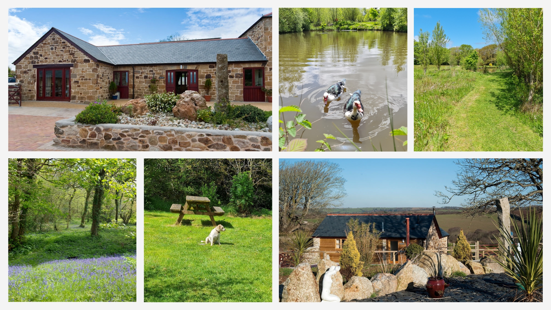 A collage of images of bejowan barns barn conversion Tawny Owl.