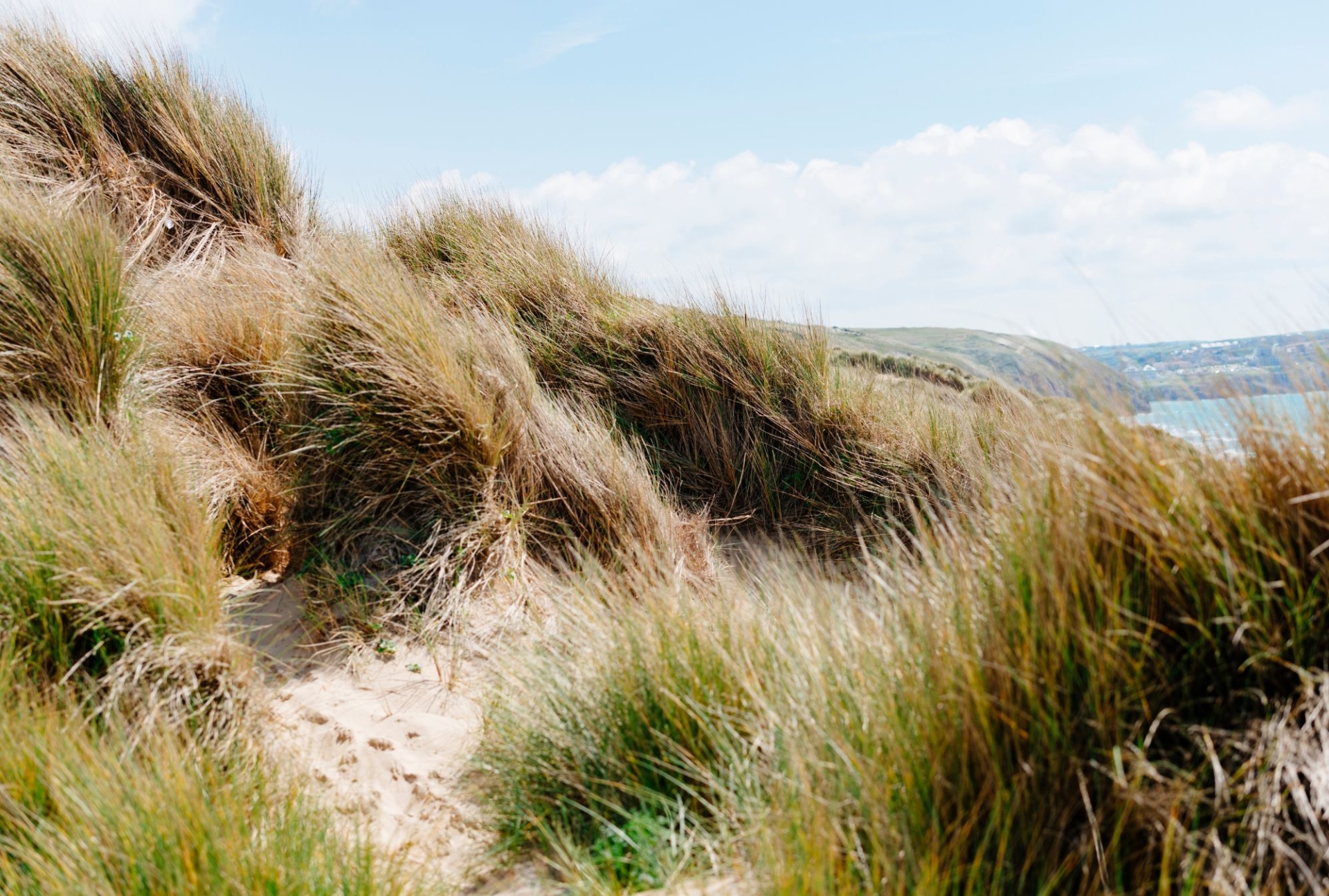 Sand dunes at perranporth