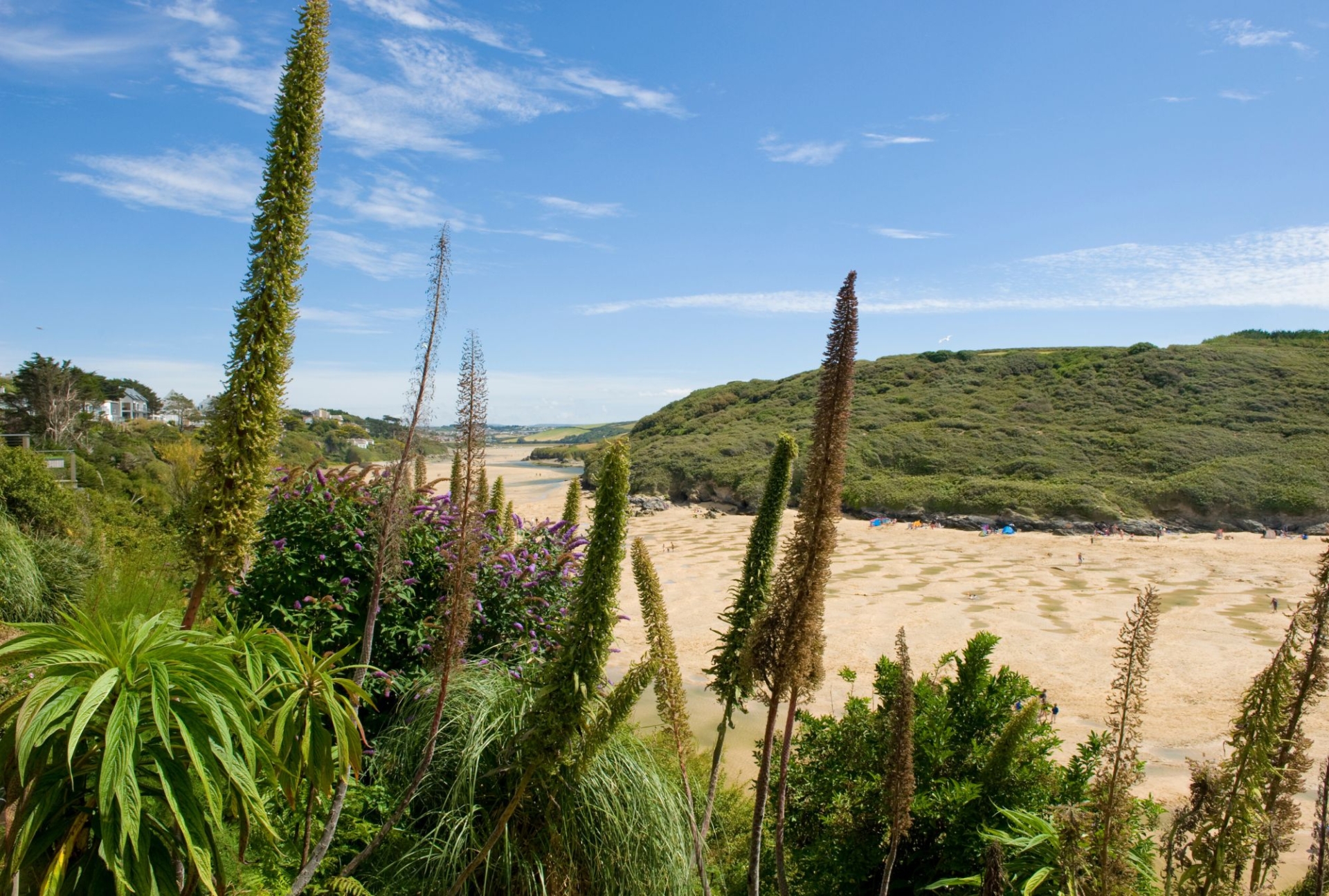 A view of the sand between Crantock and West Penitre and the river gannel estuary, through the foliage