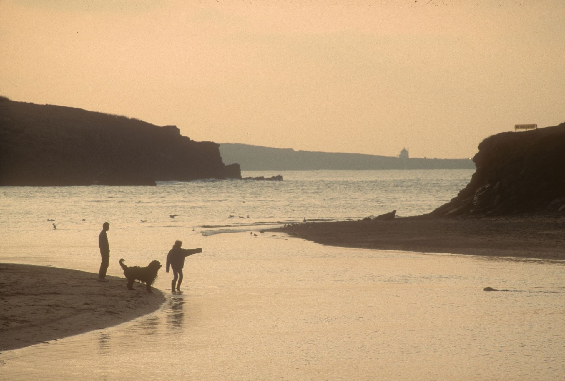 Porth Beach in Newquay in low lighting, with orange tones. There's a couple in silhouette throwing a stick into the sea for their dogs. One dog is swimming back to them and the other watching with them, the woman has an outstretched arm pointing to the dog in the water